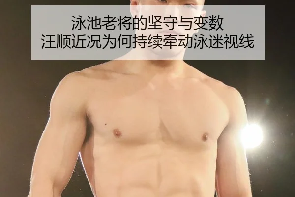 泳池老将的坚守与变数 汪顺近况为何持续牵动泳迷视线